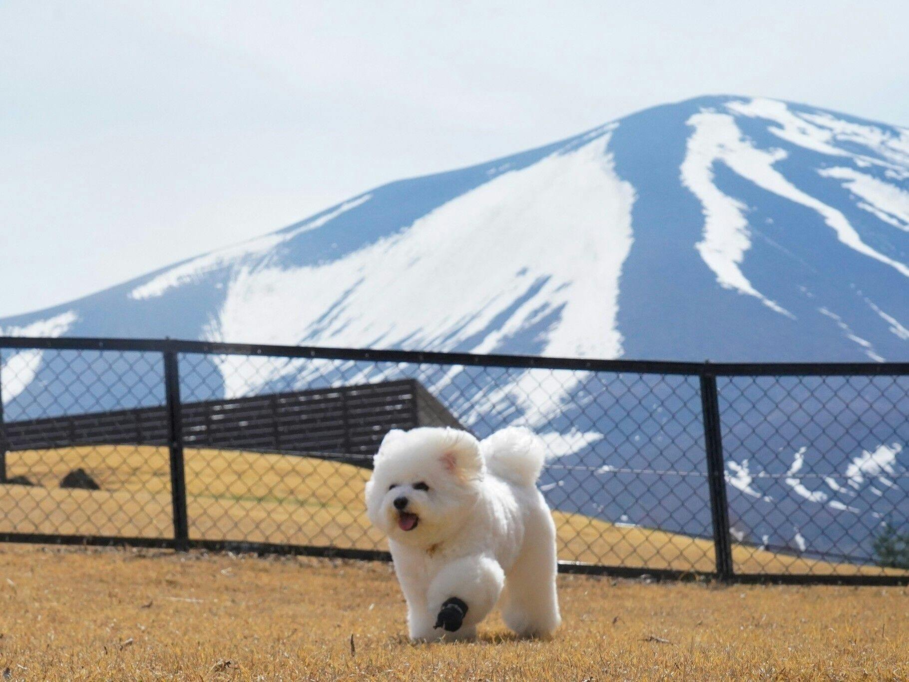 Dot Glamping North Karuizawa