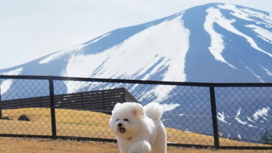 Dot Glamping North Karuizawa