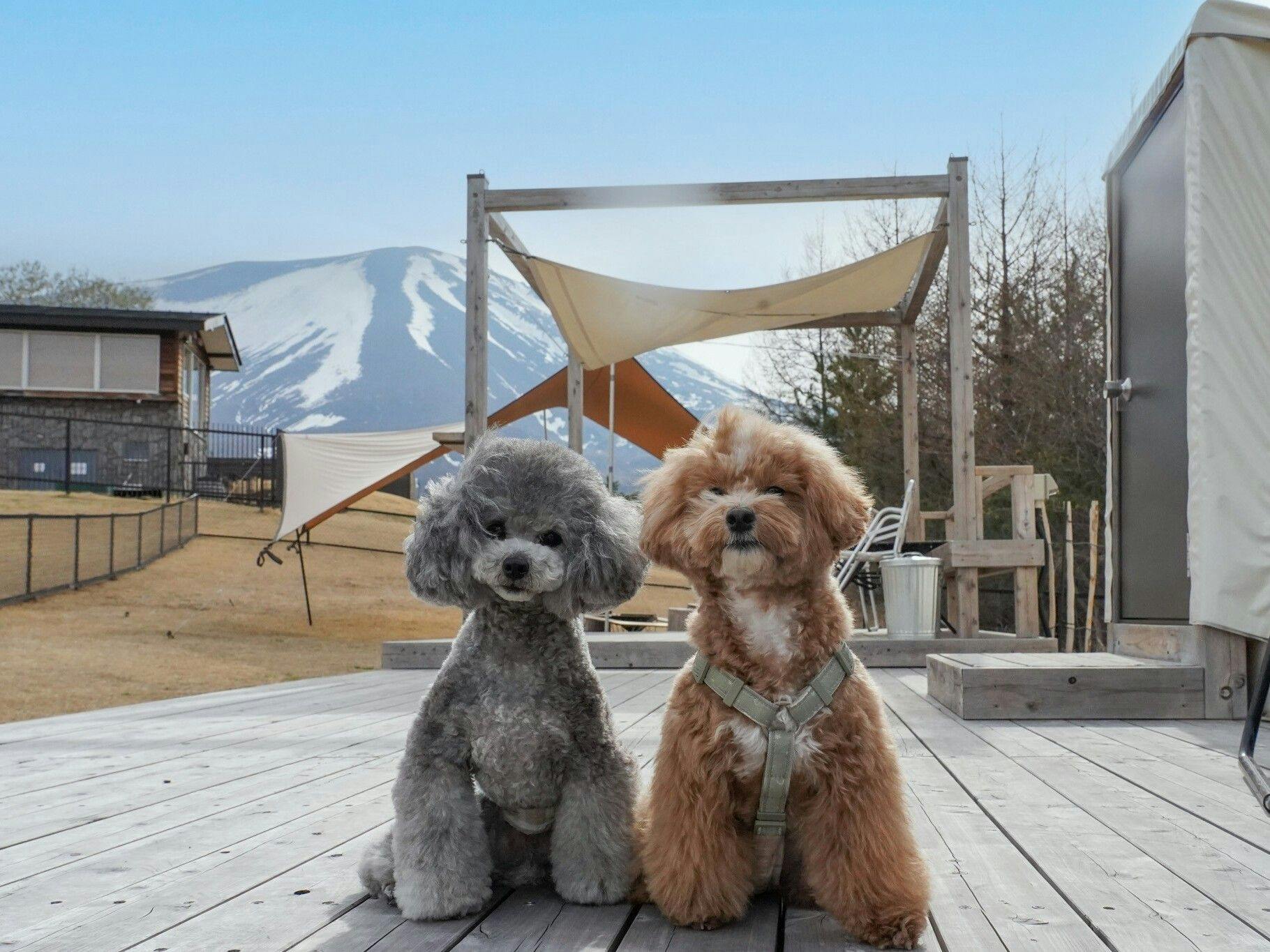 Dot Glamping North Karuizawa