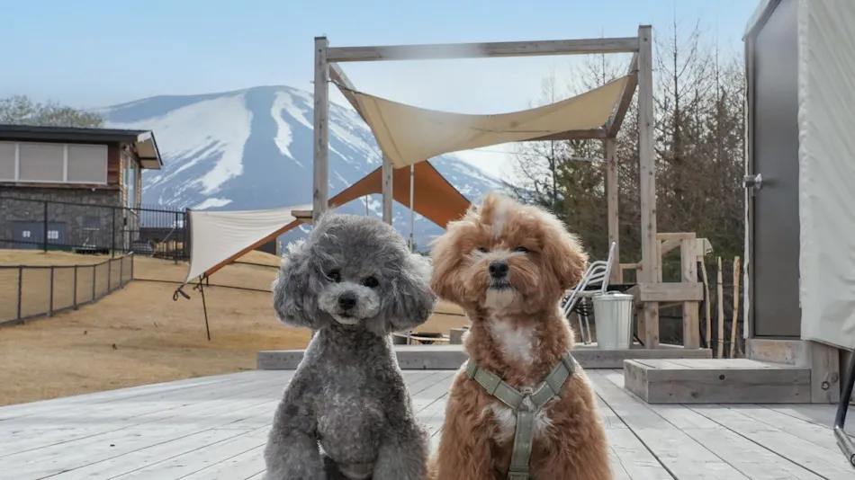 Dot Glamping North Karuizawa