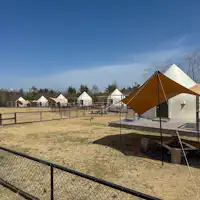 ห้องพักพร้อมพื้นที่วิ่งเล่นสำหรับสุนัข