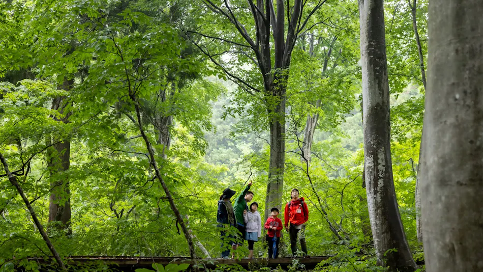 Nabekura Kogen Mori-no-ie
