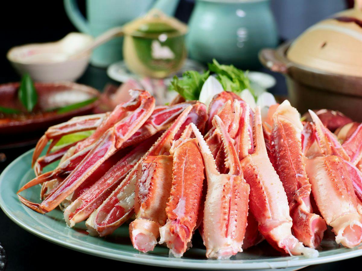 Izushi Onsen Wimbledon