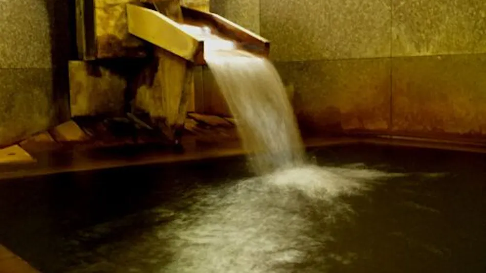 Togatta Onsen Tamaya Ryokan