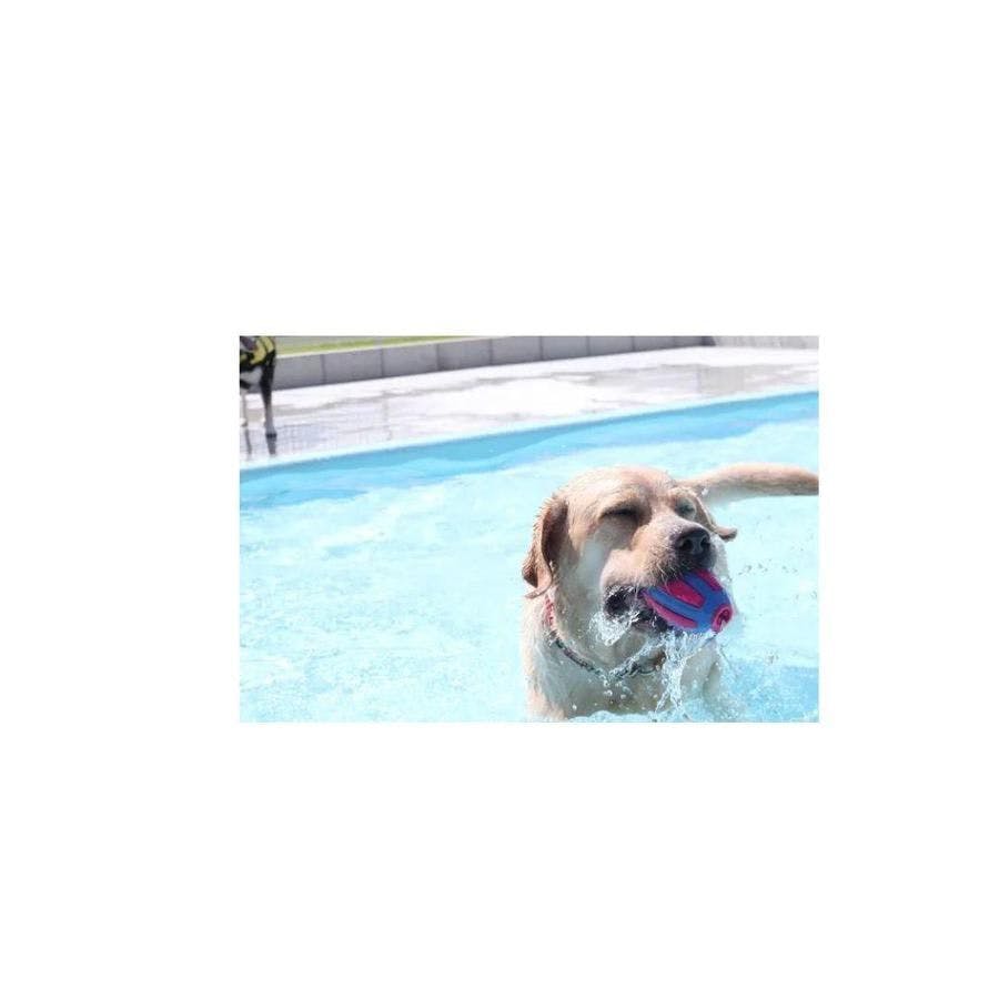 NAGI Dog Glamping Ena