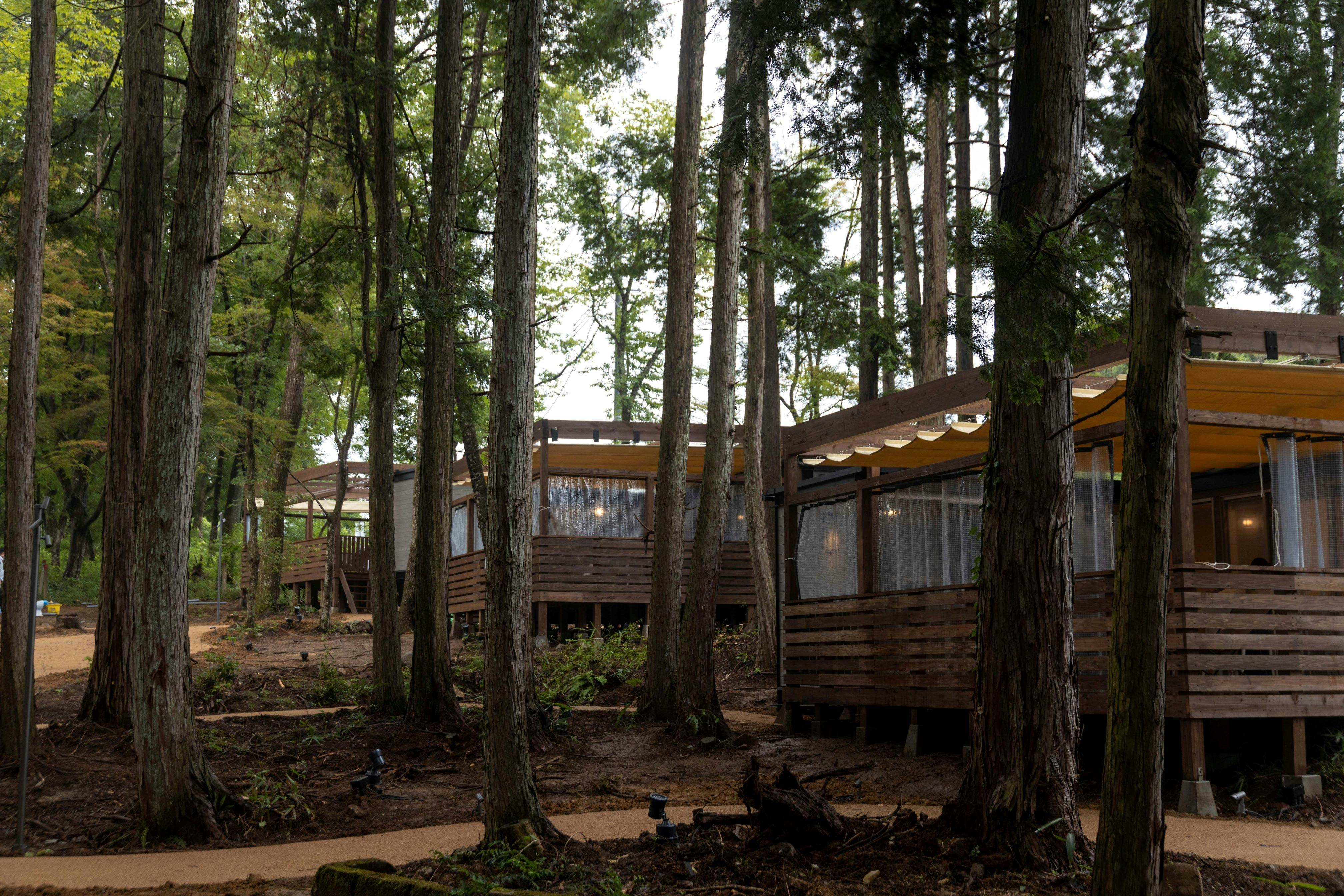 NAGI Dog Glamping Ena