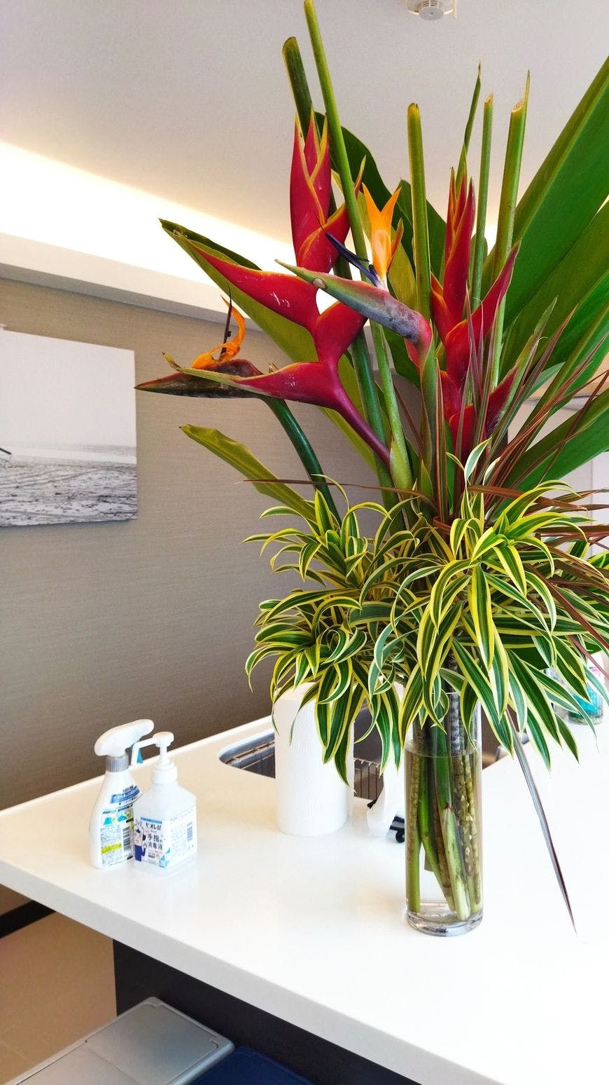 SALTY HOUSE