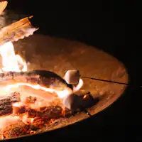 ย่างมาร์ชเมลโล่บนกองไฟให้นุ่มละมุน