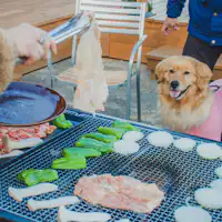 บาร์บีคิวกับน้องหมา