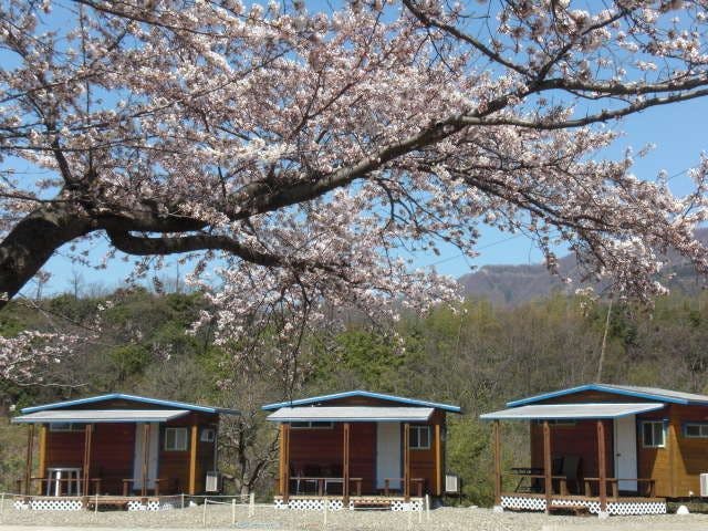 Cottage & Camp with Ocean View