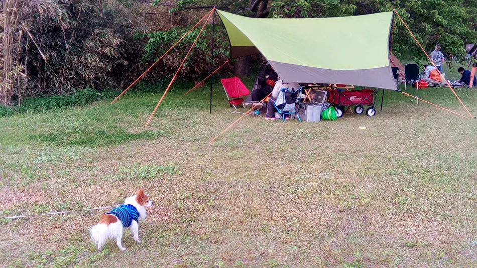 Cottage & Camp with Ocean View