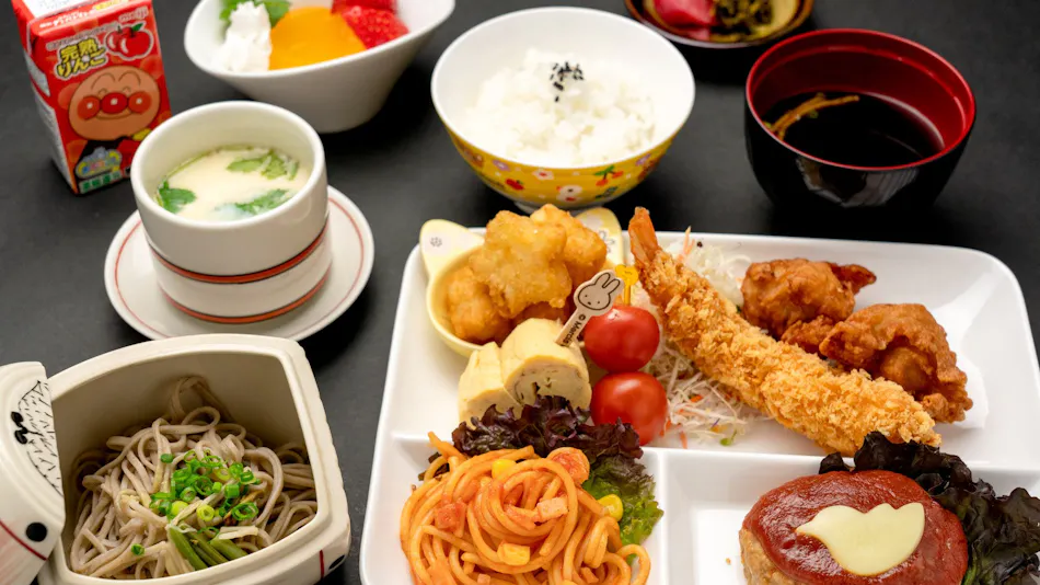 Hida Tomoe Hotel