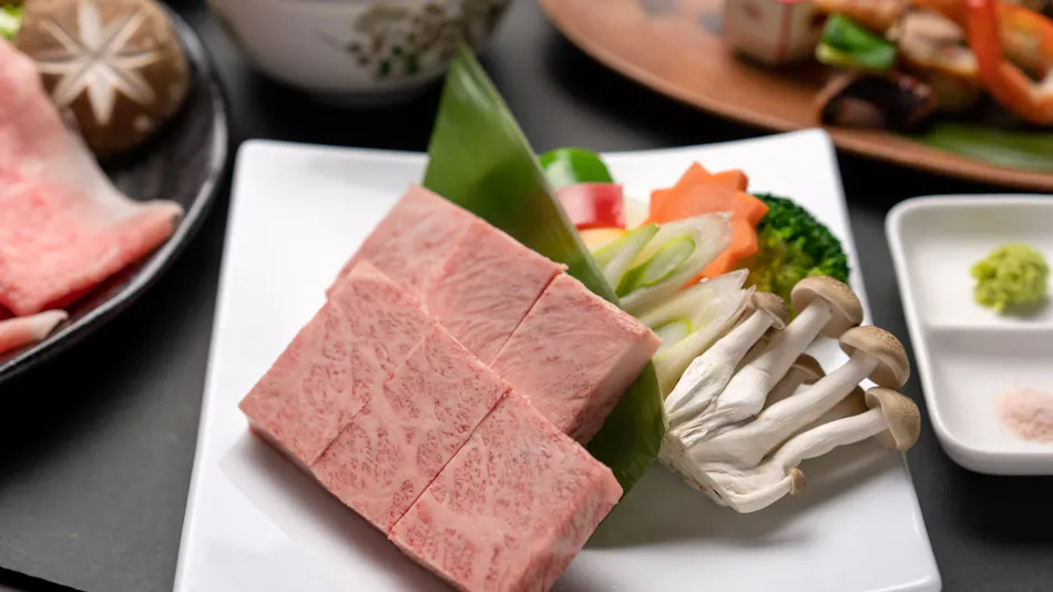 Hida Tomoe Hotel