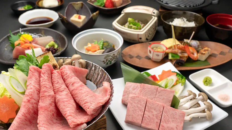 Hida Tomoe Hotel