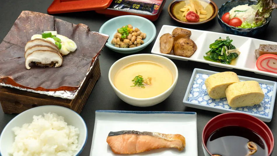 Hida Tomoe Hotel