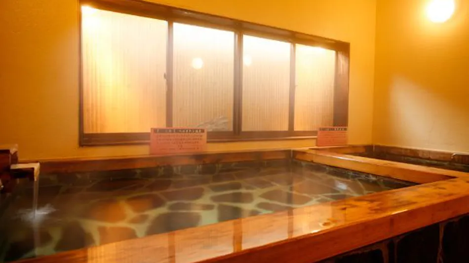 Hida Tomoe Hotel
