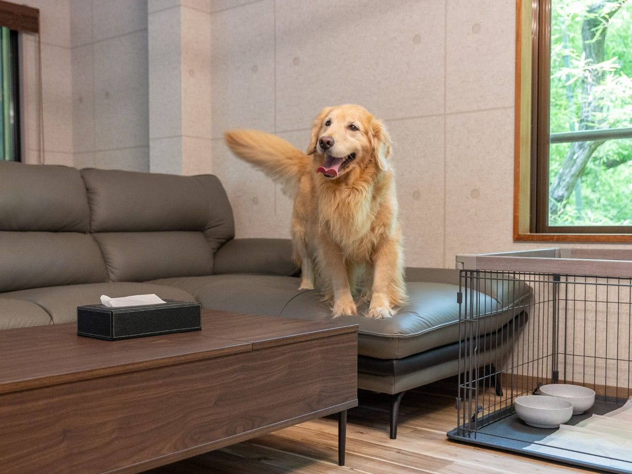 LiVEMAX RESORT Sanuki Shionoe Onsen