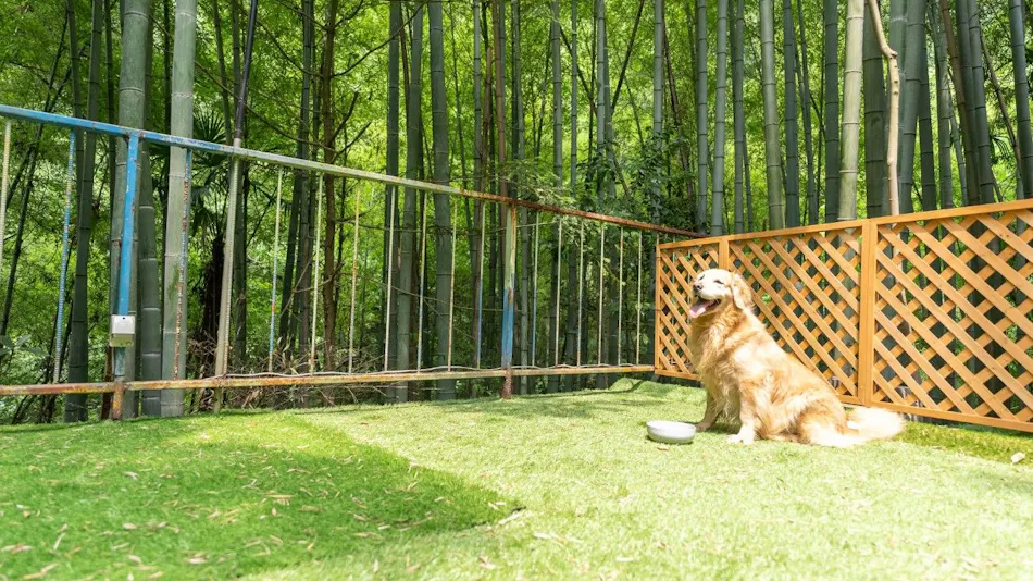 LiVEMAX RESORT Sanuki Shionoe Onsen