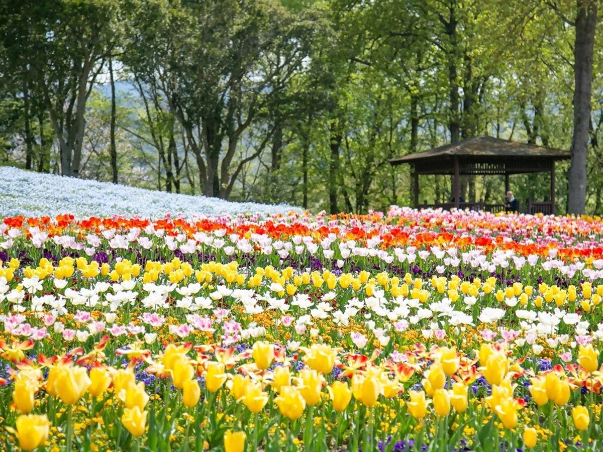 *【Tempat Wisata】