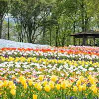 *【Tempat Wisata】