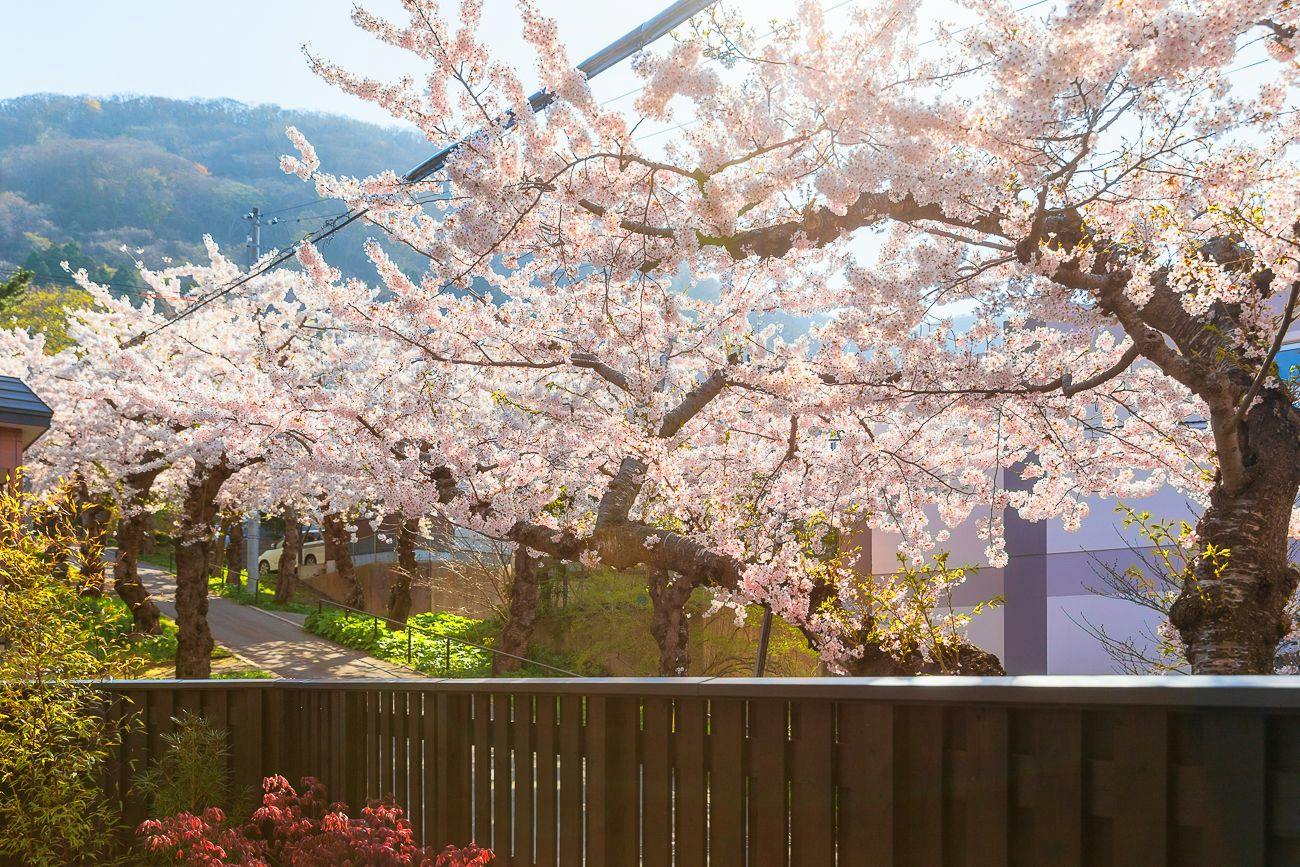 Sumiyoshi's Inn SakuraSanro