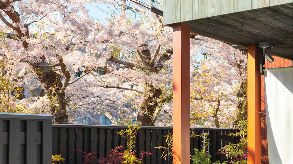 Sumiyoshi's Inn SakuraSanro