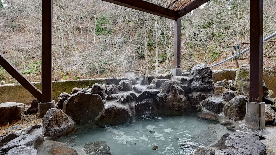 Futamata Onsen Kashiwaya Ryokan
