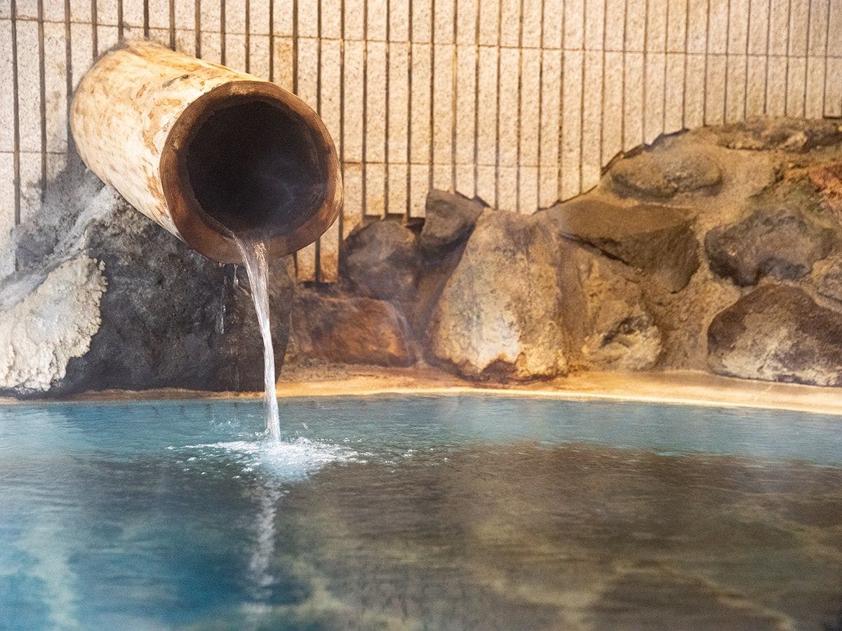 Futamata Onsen Kashiwaya Ryokan