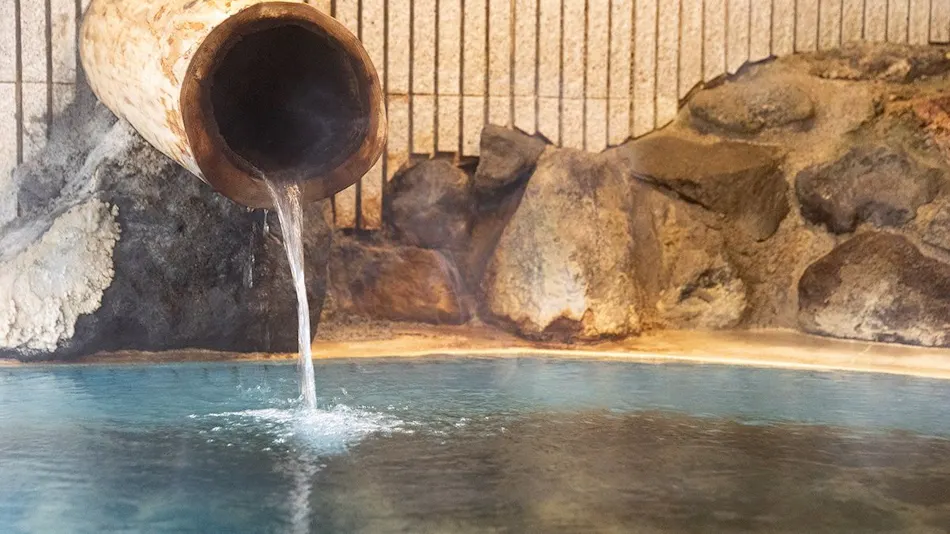 Futamata Onsen Kashiwaya Ryokan