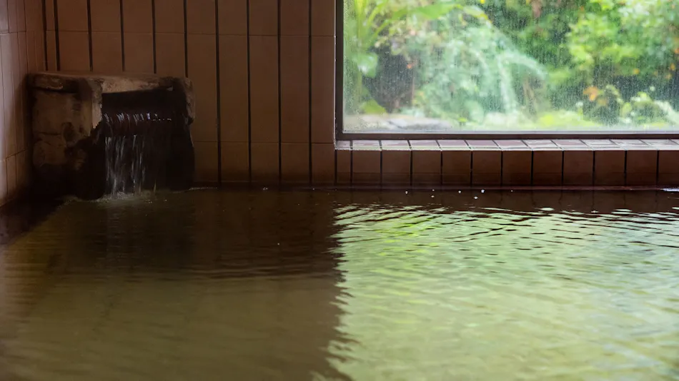 Sugou Onsen Seizansou