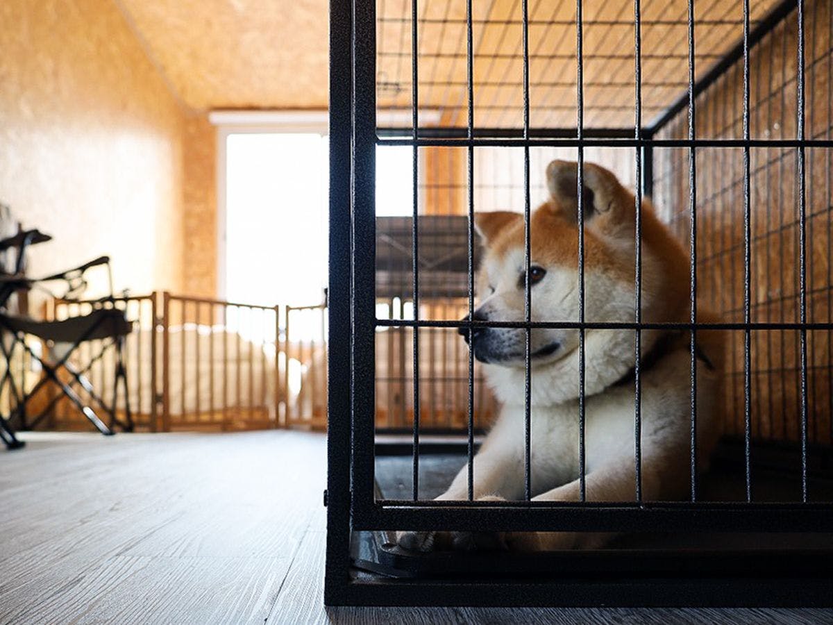 SAKATANTO Container Hotel CAMPS