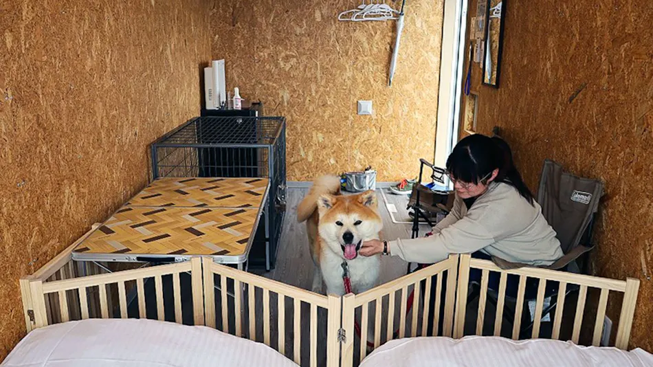 SAKATANTO Container Hotel CAMPS