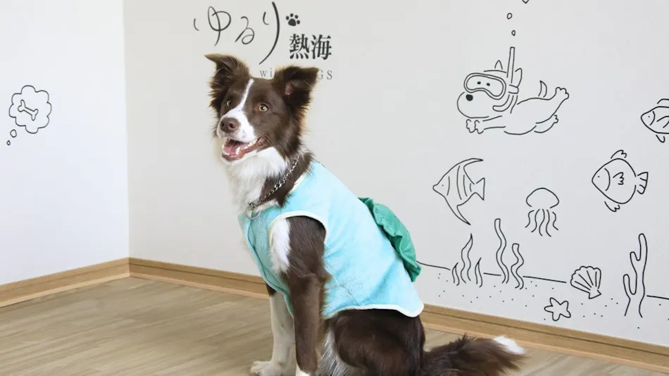Yururi Atami with DOGS