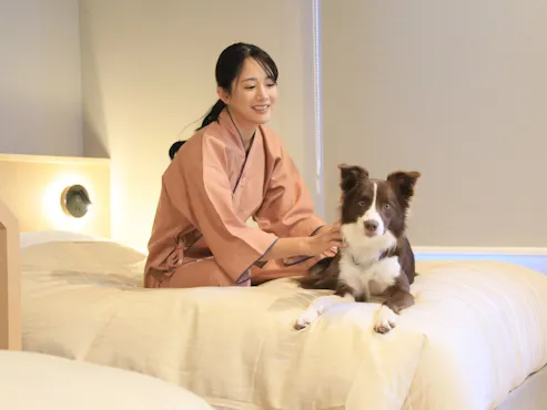 全客房皆可攜帶狗狗入住。