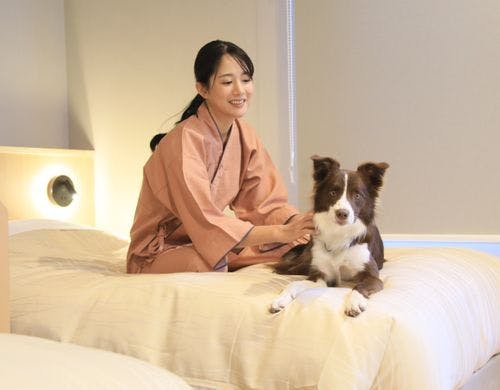 全客室でわんちゃんとお過ごしいただけます