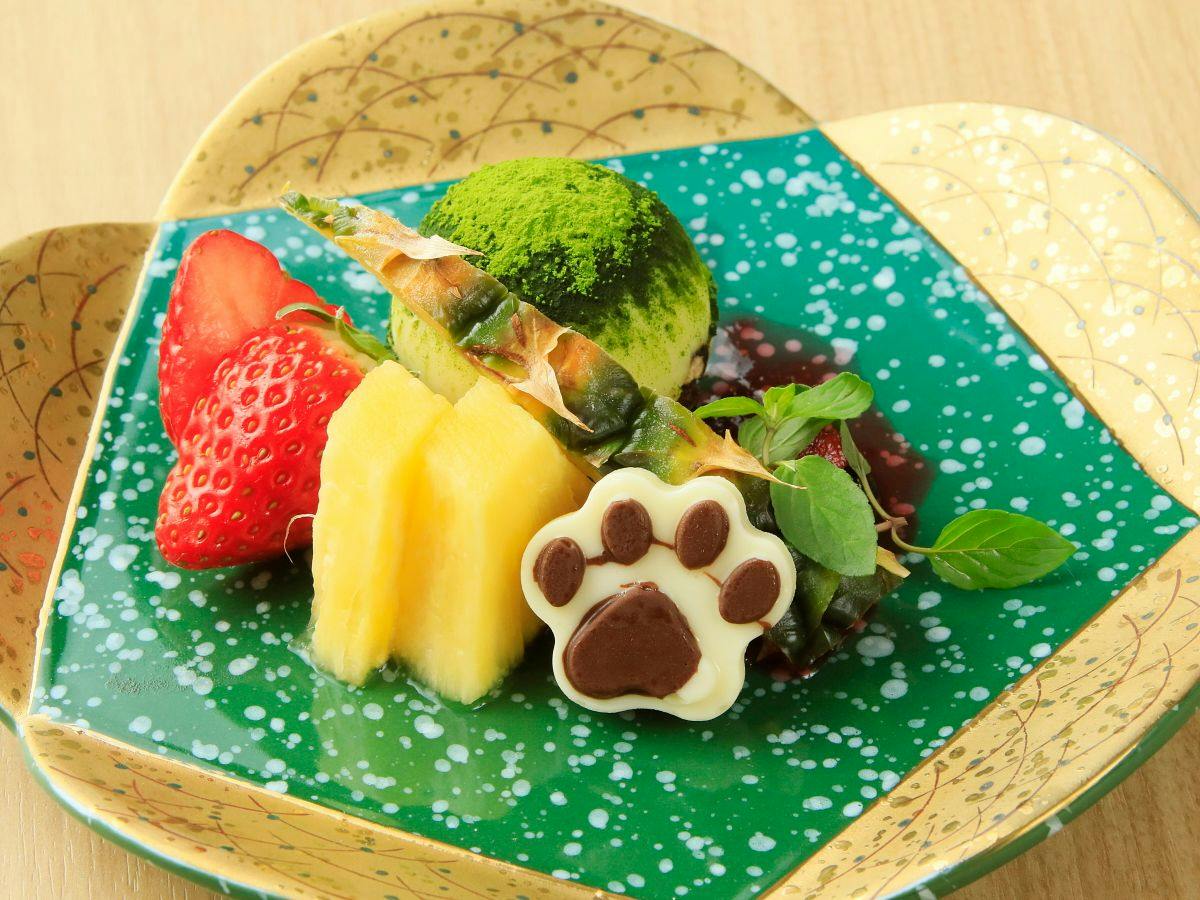 Yururi Atami with DOGS