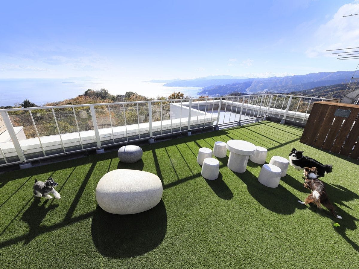 【屋頂狗運動場】