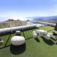 【屋頂狗運動場】