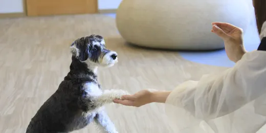 ゆるり熱海withDOGS