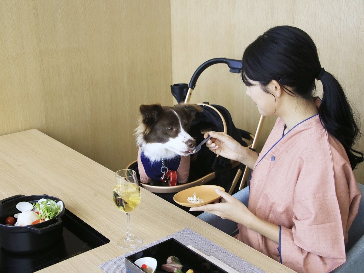 Yururi Atami with DOGS