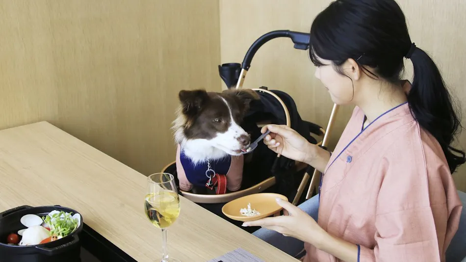 Yururi Atami with DOGS