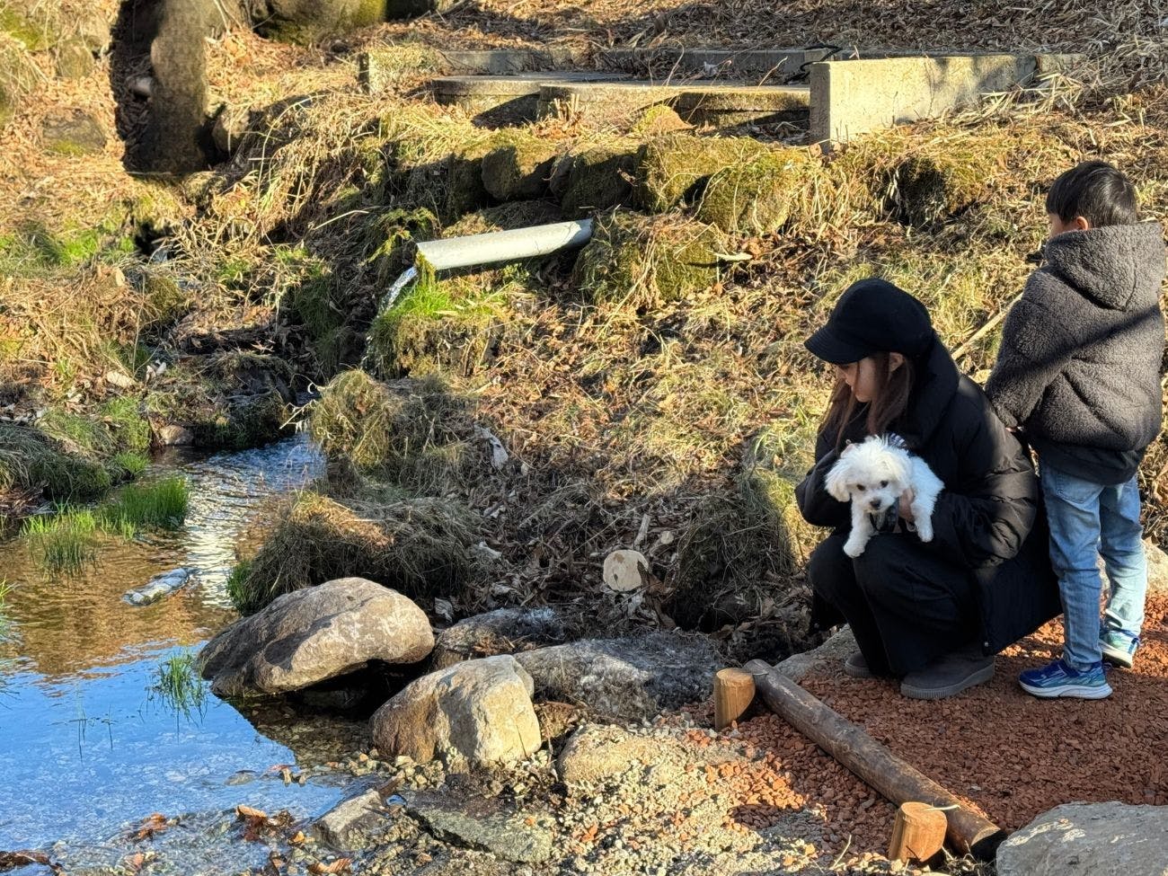 HAMIRU’S FOREST WITH DOG
