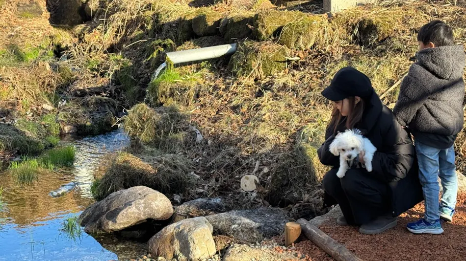 HAMIRU’S FOREST WITH DOG