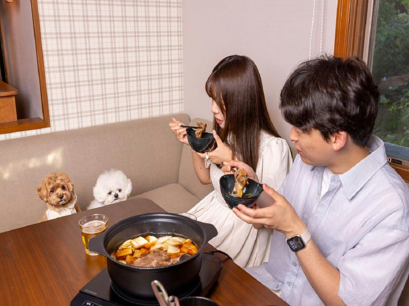 HAMIRU’S FOREST WITH DOG