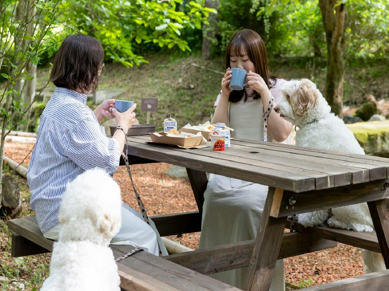 HAMIRU’S FOREST WITH DOG