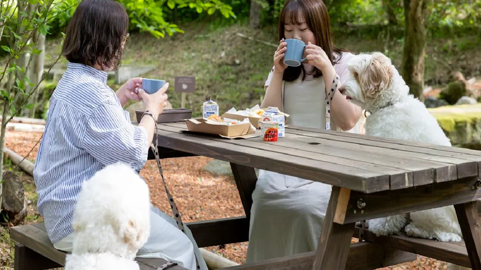 HAMIRU’S FOREST WITH DOG