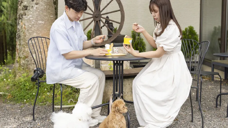 HAMIRU’S FOREST WITH DOG