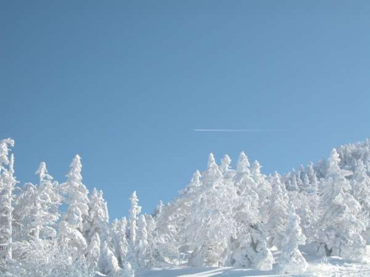 【텐겐다이 고원】