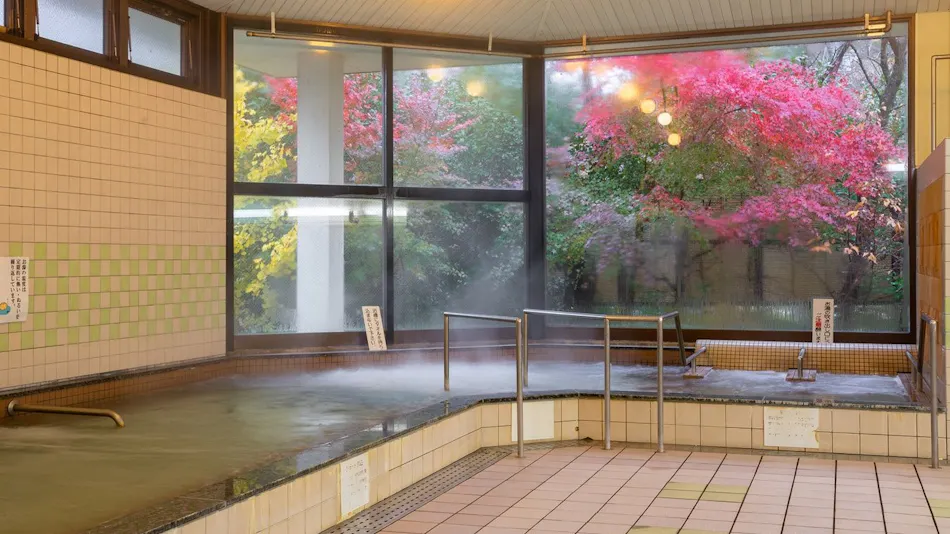 Yuda Mountain Villa