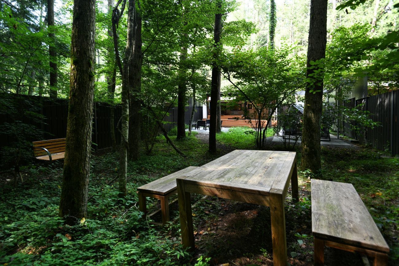 Fuji Fumoto Forest Onsen